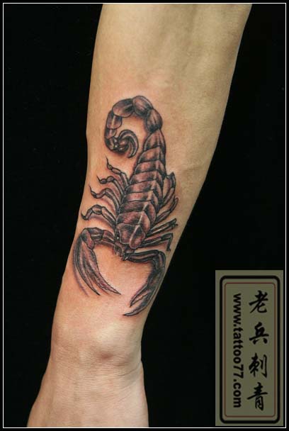 蝎子刺青