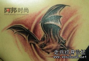 武汉最安全的纹身店为你讲解蝙蝠纹身图案的含义