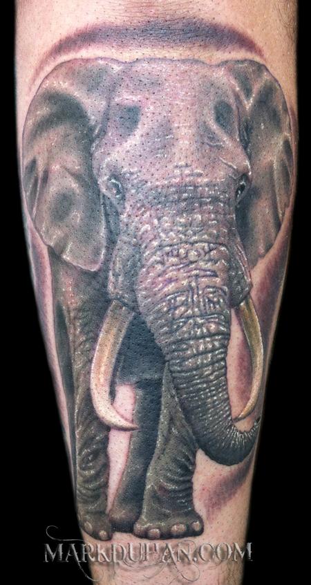大象半臂纹身内容图片分享