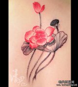 女生后背漂亮清雅的水墨莲花纹身图案