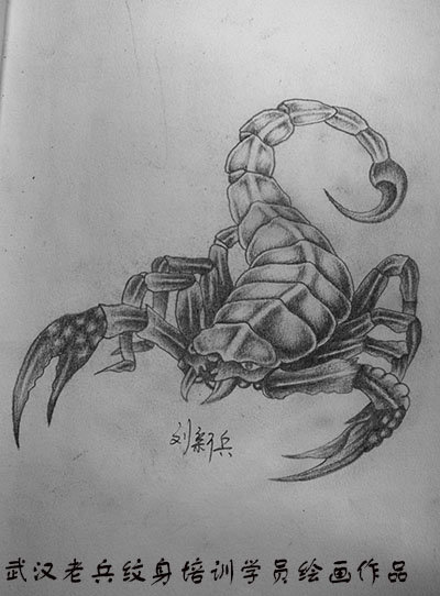 素描蝎子作品由武汉最好的纹身学校纹身学员制作