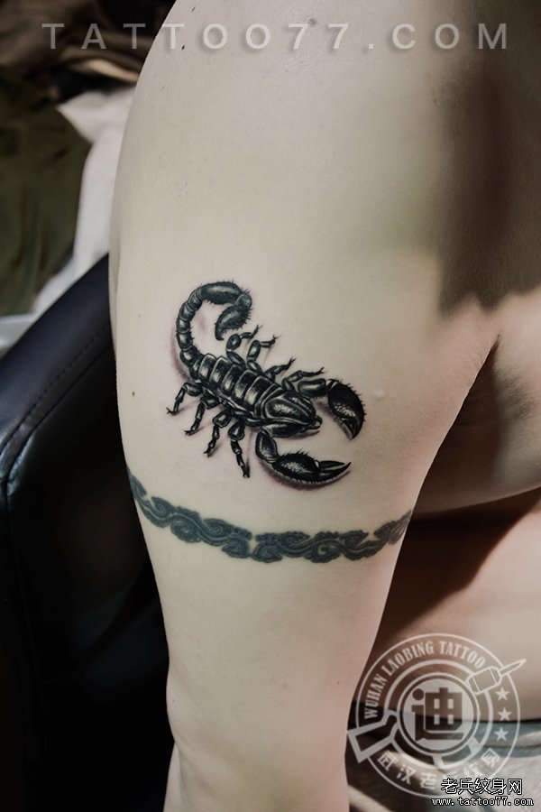 手臂3d蝎子纹身图案作品
