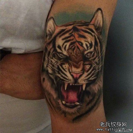 手部老虎纹身图案