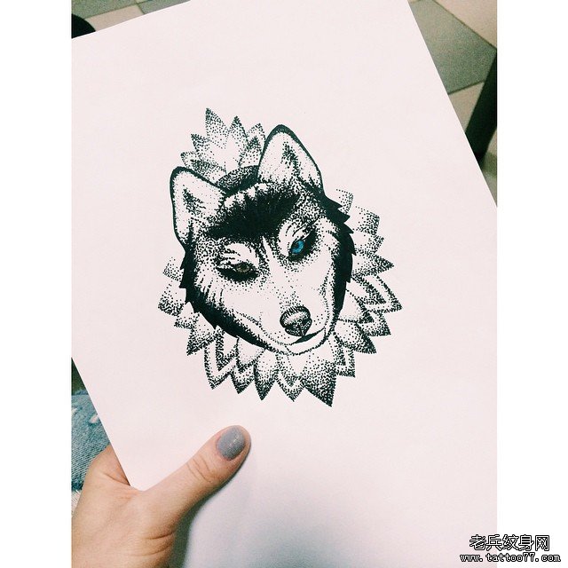 ��������ͷ����ͼ��