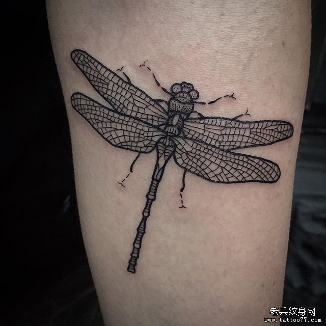手臂蜻蜓小清新纹身图案