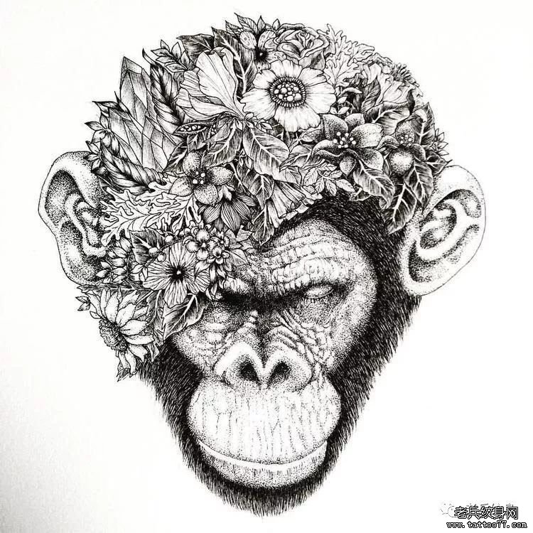 猴子纹身手稿图案