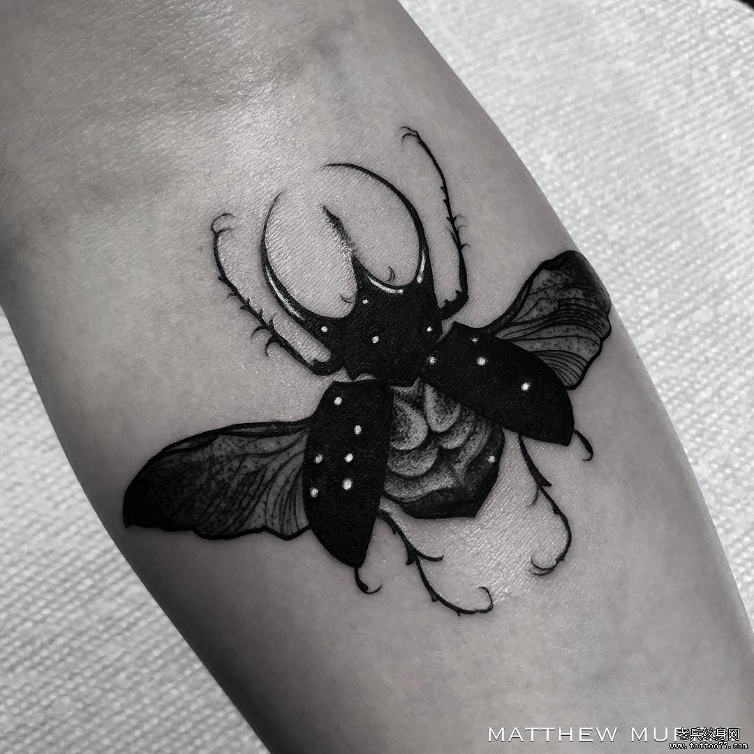 黑灰昆虫手臂纹身图案