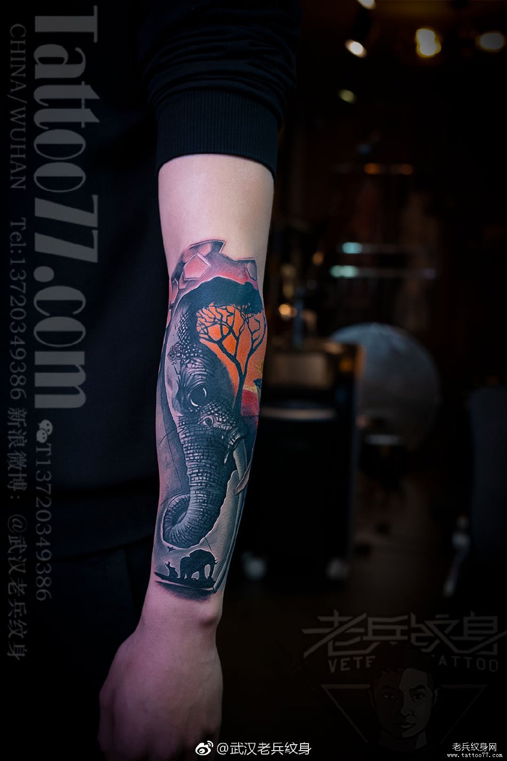 手臂彩色大象纹身图案