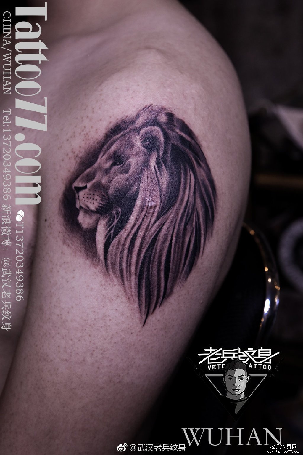手臂黑灰狮子纹身作品