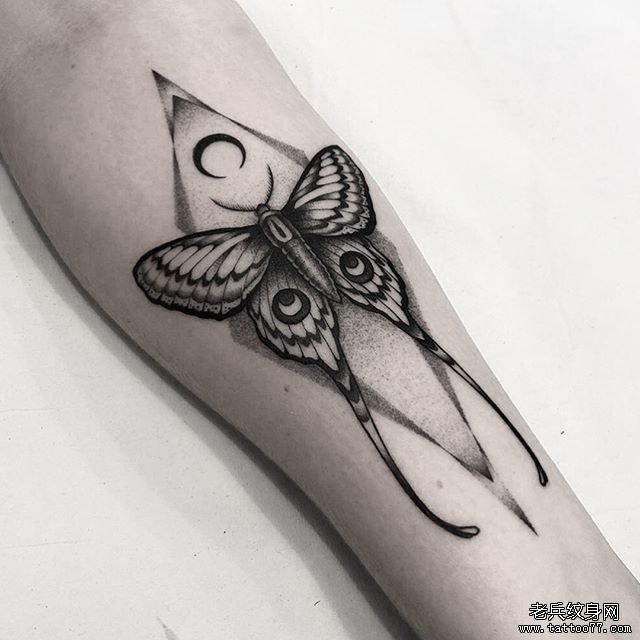 手臂黑灰蝴蝶纹身图案