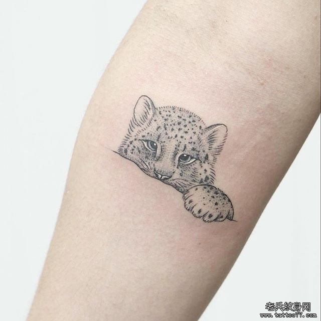 纹身主页 纹身图案大全 动物纹身图案大全 武汉纹身店       武汉纹身