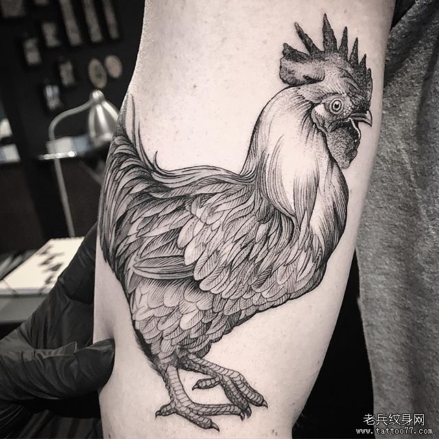 手臂公鸡纹身图案