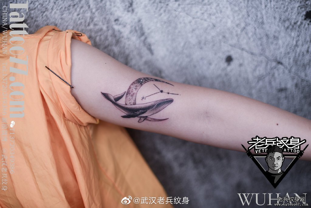 手臂鲸鱼月亮星座纹身作品