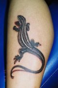 武汉专业纹身店：小腿蜥蜴纹身（tattoo）图案大全