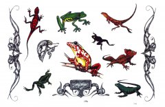 武汉文身店：青蛙蜥蜴壁虎纹身图案图片
