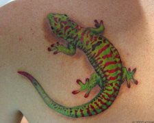 武汉纹身哪里最专业：武汉老兵纹身提供的一张蜥蜴壁虎纹身图片