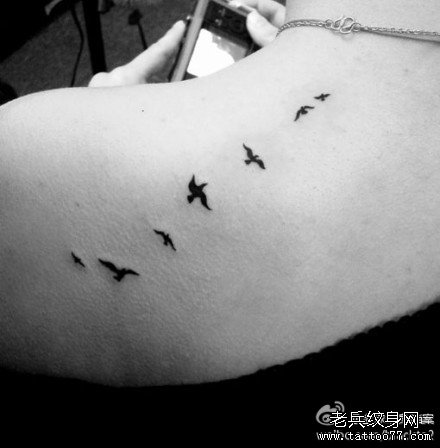 后背燕子鸟纹身图案