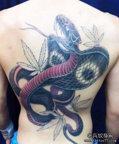 九头蛇满背纹身图片图片