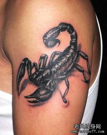 胳膊蝎子纹身图案