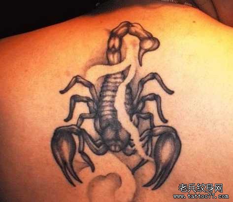 后背蝎子纹身图案
