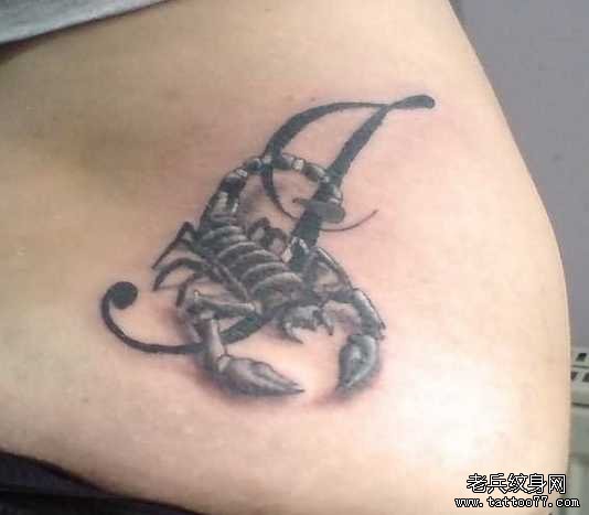 腹部黑蝎子纹身图案