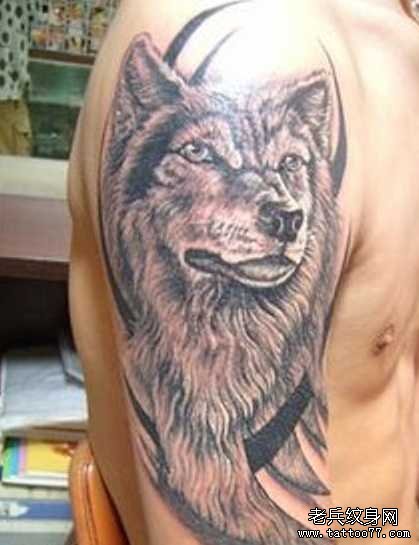 胳膊霸狼纹身图案