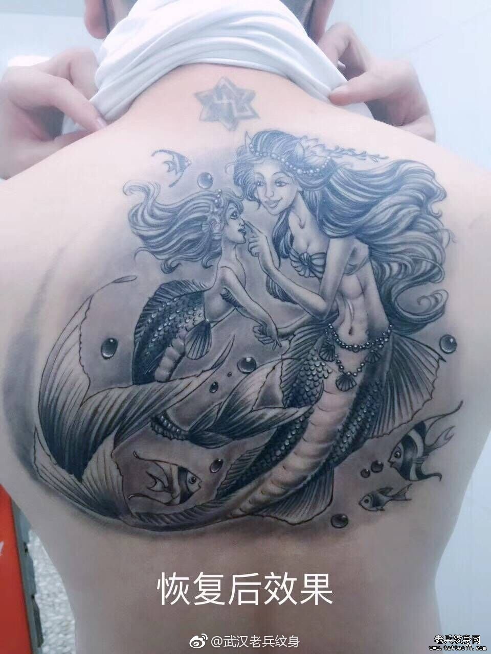 美人鱼满背纹身图案图片