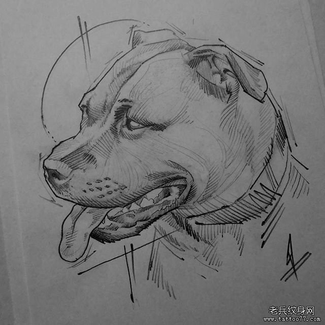 狗狗纹身手稿