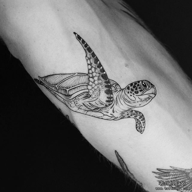 手臂黑灰海龟纹身图案