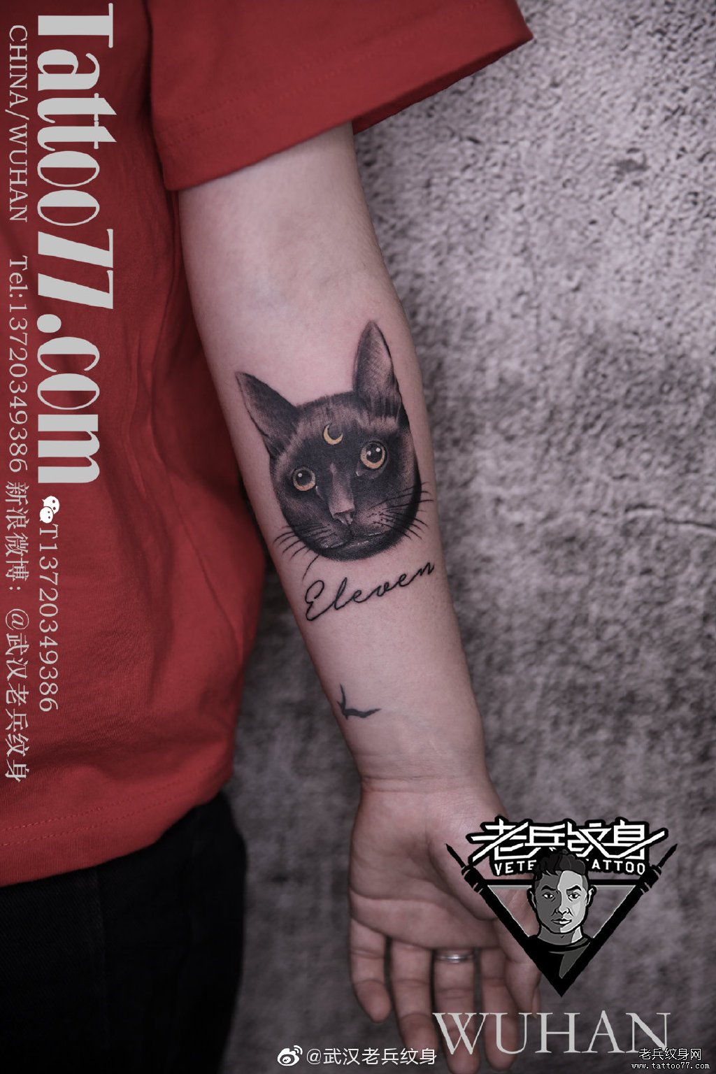 手臂猫咪纹身作品