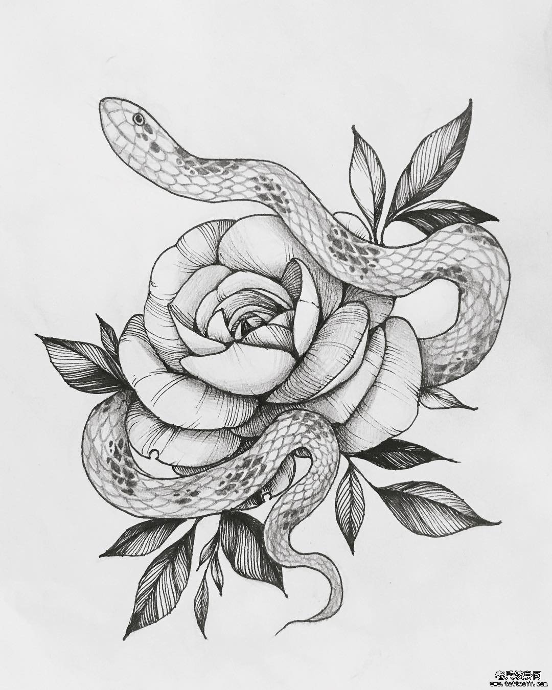 Тату эскиз змея и цветы