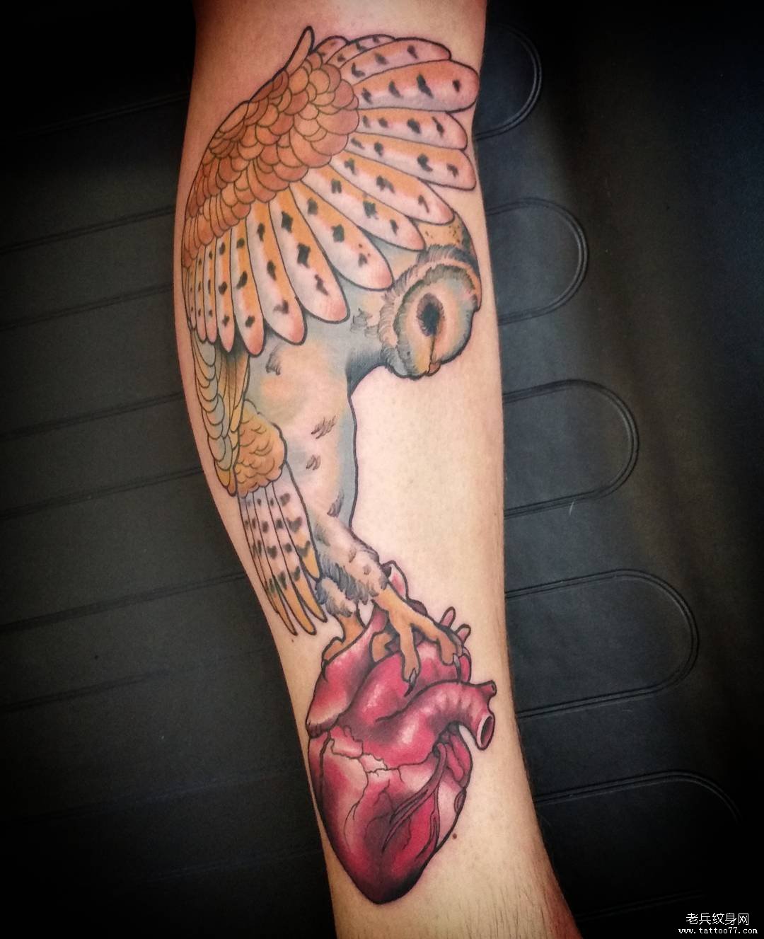 小腿彩色猫头鹰心脏纹身图案
